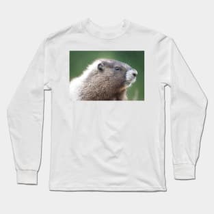 Young marmot in Mount Rainier National Park Long Sleeve T-Shirt